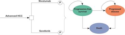 Nivolumab Versus Sorafenib as First-Line Therapy for Advanced Hepatocellular Carcinoma: A Cost-Effectiveness Analysis